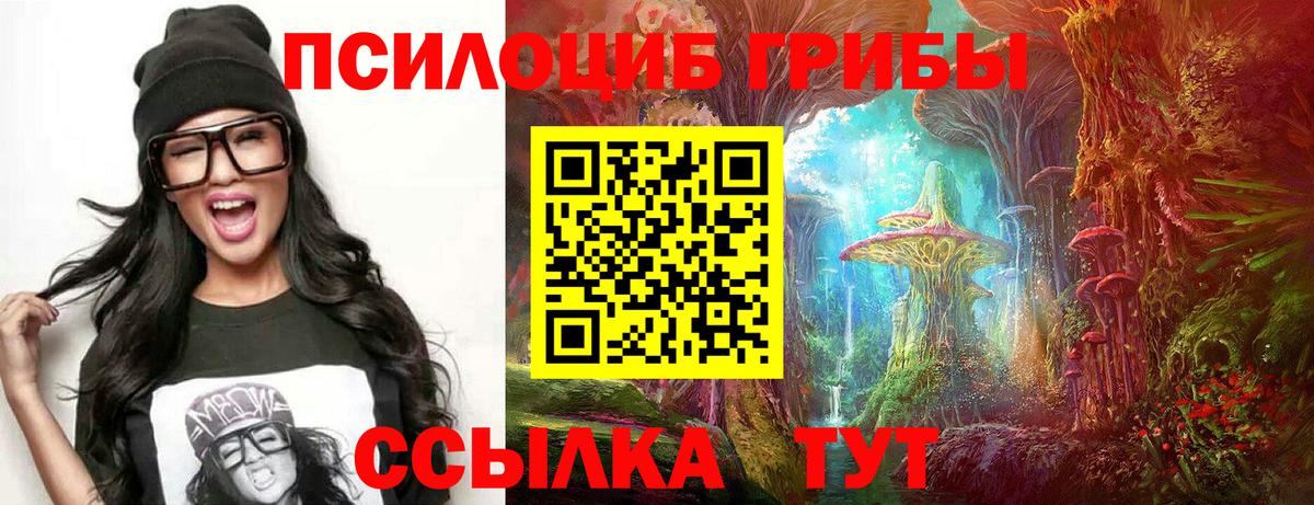 Галлюциногенные грибы Psilocybe Ахтубинск
