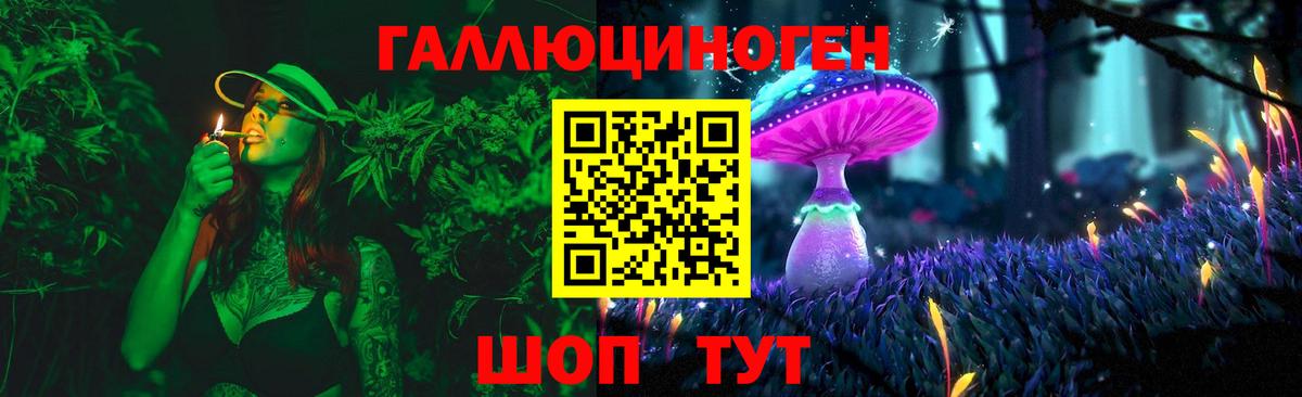 Ахтубинск  Галлюциногенные грибы прущие грибы  Вход с VPN 